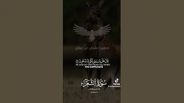 #سورة_الشعراء #اكسبلور_فولو #اكسبلور