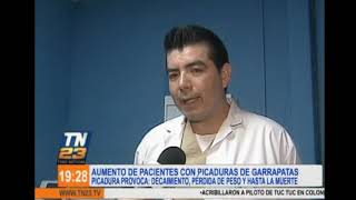Aumento de pacientes con picadura de garrapatas Aumento de pacientes con picadura de garrapatas
