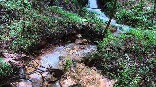 The Bowl And Ravenwolf Falls At Little Wolf Nature Preserve