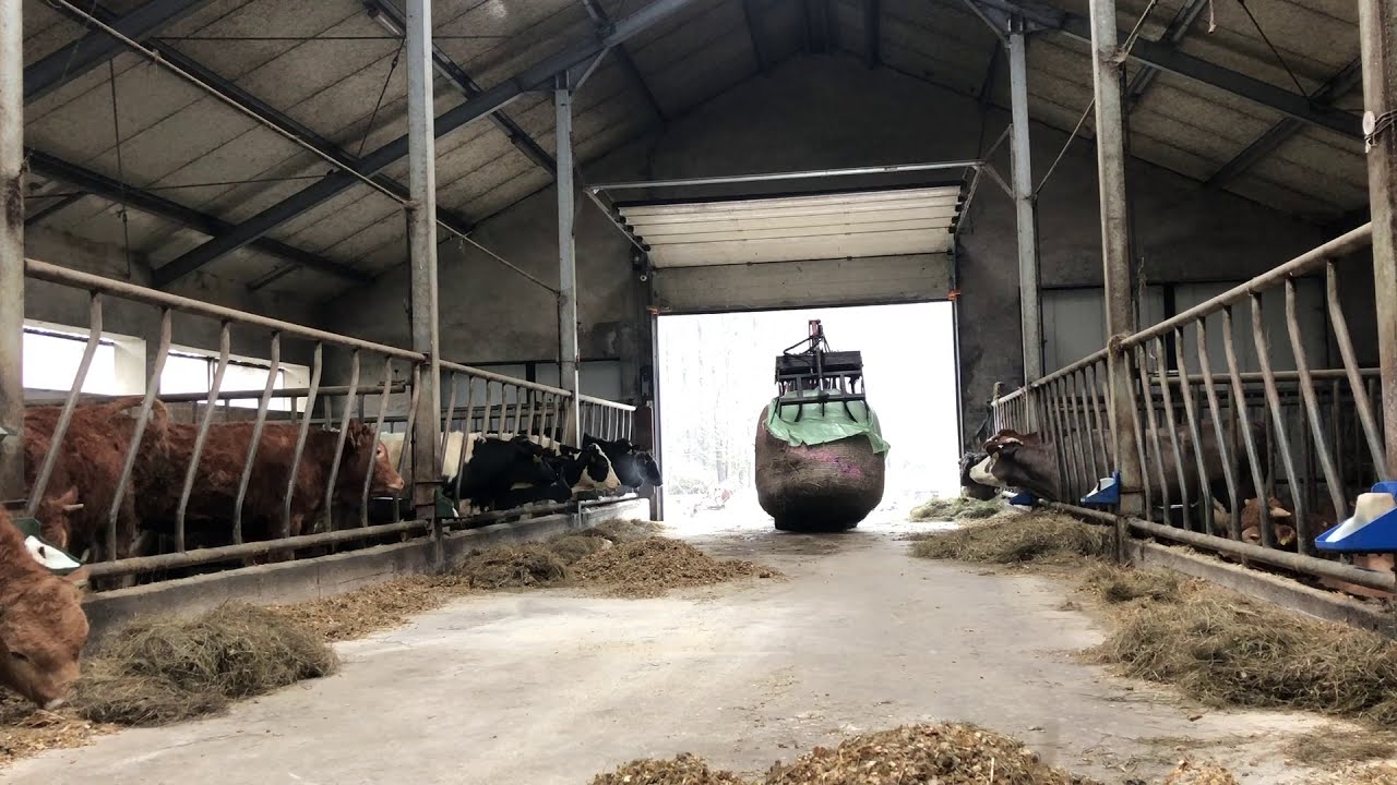 Ładowarka Przegubowa Schaffer 220 W GR Halicki (2021).