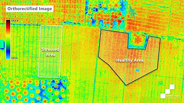 Drones for Precision Agriculture: Multispectral Analysis of Vegetation