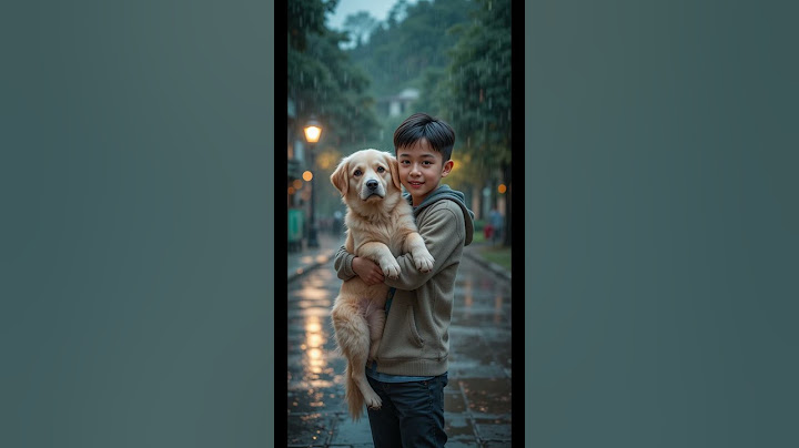 Loyal Dog Waits Months for His Best Friend—The Emotional Reunion Will Melt Your Heart!