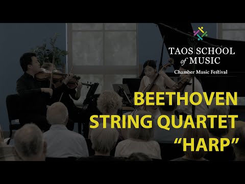 Beethoven String Quartet Op 74 