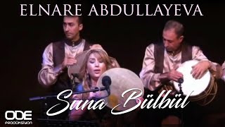 Suna Bülbül / Elnare Abdullayeva Resimi