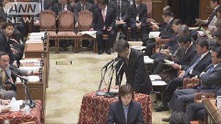 “不正統計”発覚後の対応追及へ　当時の責任者招致(19/02/08)