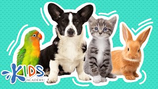 Pets | Learn more about pets for kids | Kids academy screenshot 5