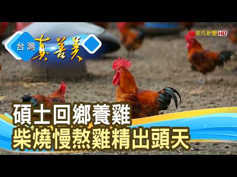 雞大俠的“柴燒滴雞精”｜華山雞大俠-自然放牧灶雞精｜【台灣真善美】2026.06.28