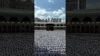 SURAH AL- IMRAN AYAT 85-86 URDU TRANSLATION # QURAN URDU TRANSLATION....