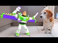 REAL LIFE BUZZ LIGHTYEAR ANIMATION