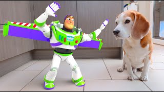 REAL LIFE BUZZ LIGHTYEAR ANIMATION