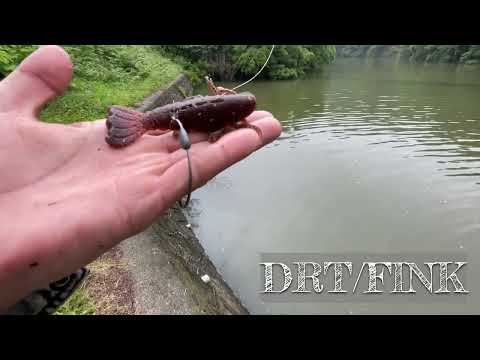 【バス釣り】フィンク！the bass fishing DRT/FINK プチ鳶ver2.0.1  #バス釣り #ビッグベイト #fishing