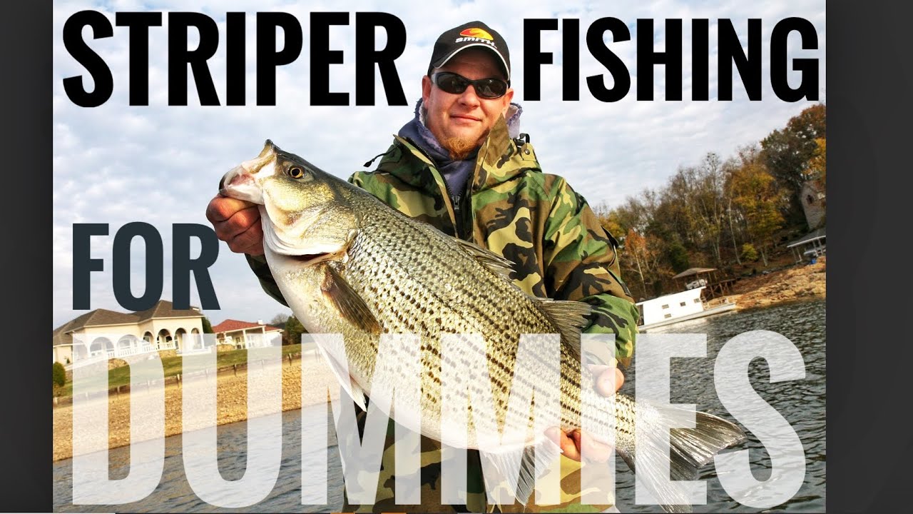 Striper Fishing for DUMMIES! Baits, Rigs, Tackle, Rods, Reels & Fish  Finders! Freshwater Edition. 