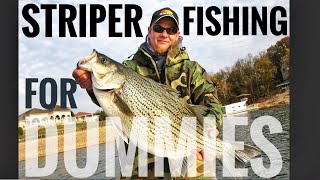 Striper Fishing for DUMMIES! Baits, Rigs, Tackle, Rods, Reels