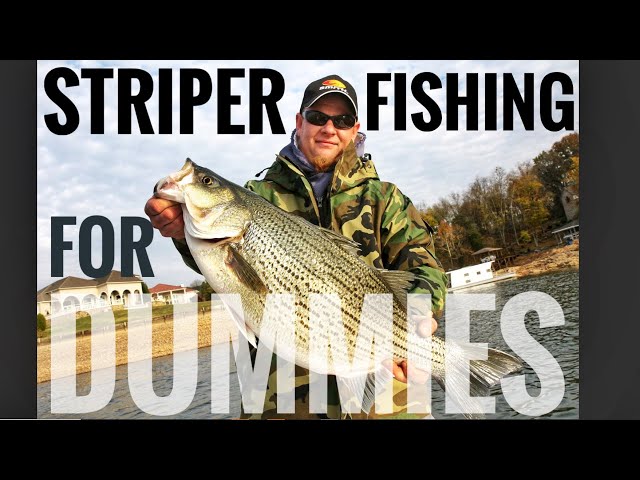 Striper Fishing for DUMMIES! Baits, Rigs, Tackle, Rods, Reels