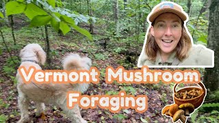 Foraging For Wild Edible Summer Mushrooms in Vermont | Cooking from the Forest 2023