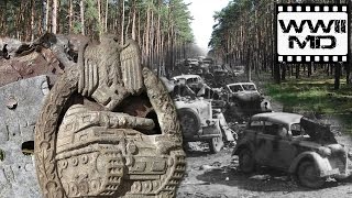 WWII Metal Detecting  German Panzer and SS  Discover History on the Eastern Front