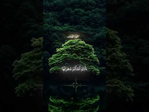 أفرأيتم الماء الذي تشربون تلاوة تهز القلب ياسر الدوسري 