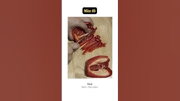 Learn Vietnamese Through Food Colors |The Color (Ep.1)  #learnvietnamese #colors #vietnameselanguage