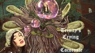 Trinity&#39;s Crying - Cocorosie (Instrumental) With backing.