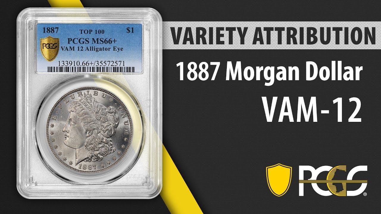 Download 1887 Morgan Dollar VAM 12 Alligator Eye | PCGS Variety Attribution - YouTube