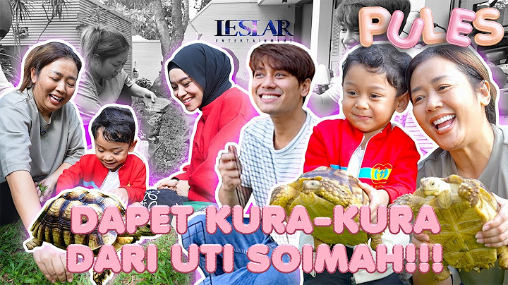 PULES: GAK TANGGUNG-TANGGUNG, UTI SOIMAH BAWAKAN ABANG L KURA-KURA LENGKAP DENGAN KANDANGNYA!!!