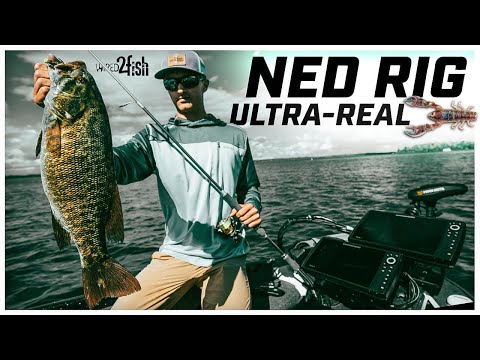 Ned Rig Smallmouth Bass  Underwater Crawfish Lure EATS‼️ 