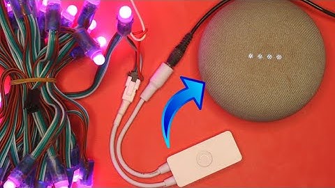 SP501E LED Controller Works with Alexa And Google Home Mini