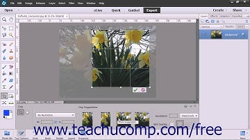 Photoshop Elements 13 Tutorial Cropping Images Adobe Training