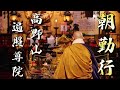 高野山遍照尊院の朝勤行ライブ配信