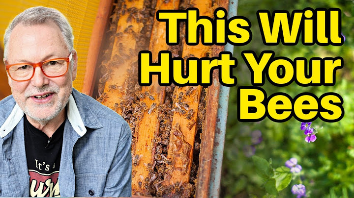 Beekeeping: Should You Put Frames Back In The Same Order?