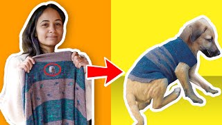 DIY Dog Sweater | Homemade dog beds and sweaters using old clothes