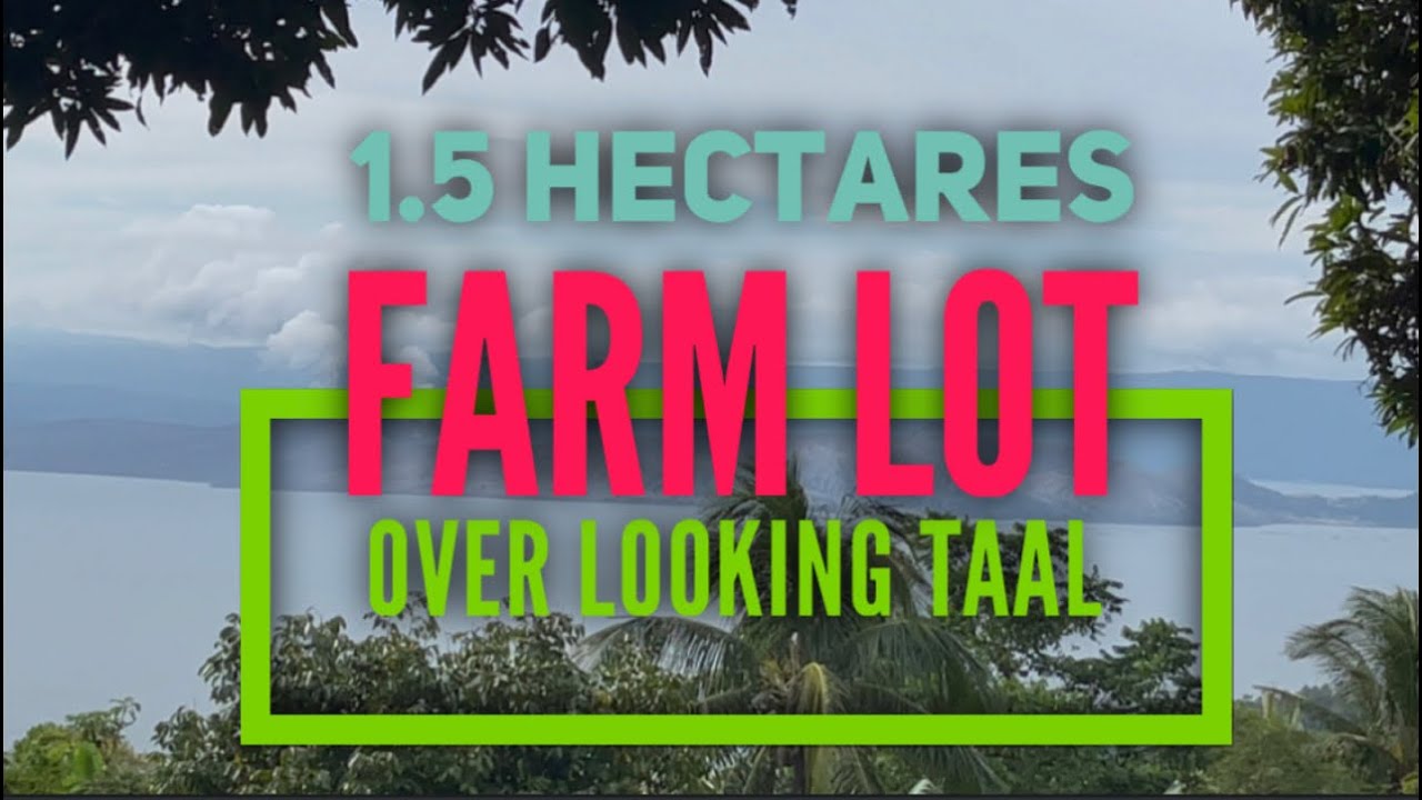 FOR SALE • Over Looking Taal Farm Lot 1.5 Hectare Mataas Na Kahoy