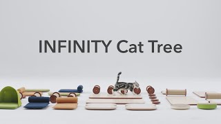 Build Your Cat's World, Their Way | PETLIBRO INFINITY Cat Tree