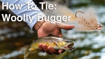 How To Tie: Woolly Bugger | A Must Have Trout Streamer Pattern