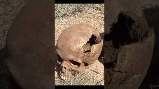 Soldier killed by shrapnel to the head found in Stalingrad - WWII battlefield forensics