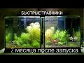 Осмос-Водопровод через два месяца после запуска