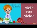 Learn german  common mistakes in german  viel oder viele  a1  a2