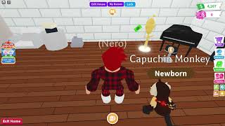 Adopt Me Shop Other Peoples Style Easter 2024