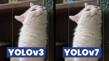 YOLOv3 vs YOLOv7 Demo