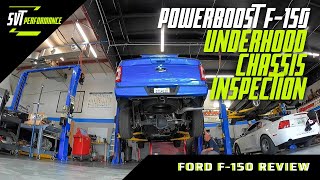 Inspection Time | 2021 PowerBoost F150 | On the Lift and Underhood