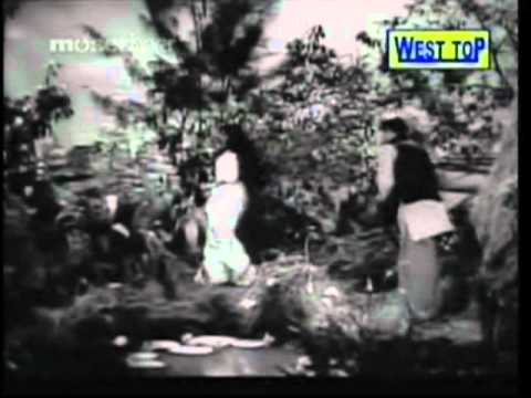 Thullioodum - Tamil Romantic Song - Periya Idathu Penn - MGR, Saroja Devi