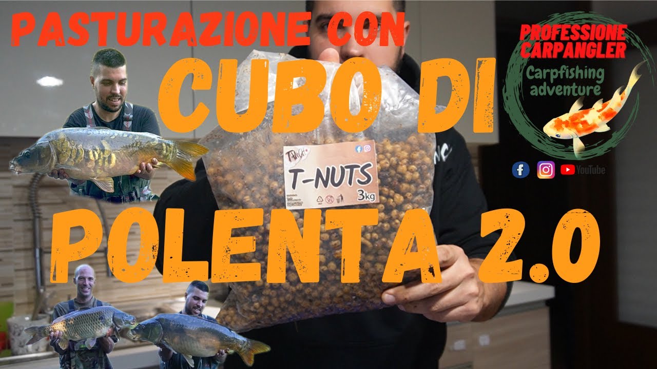 CARPFISHING Cubo di polenta 2.0 pastura da fiume