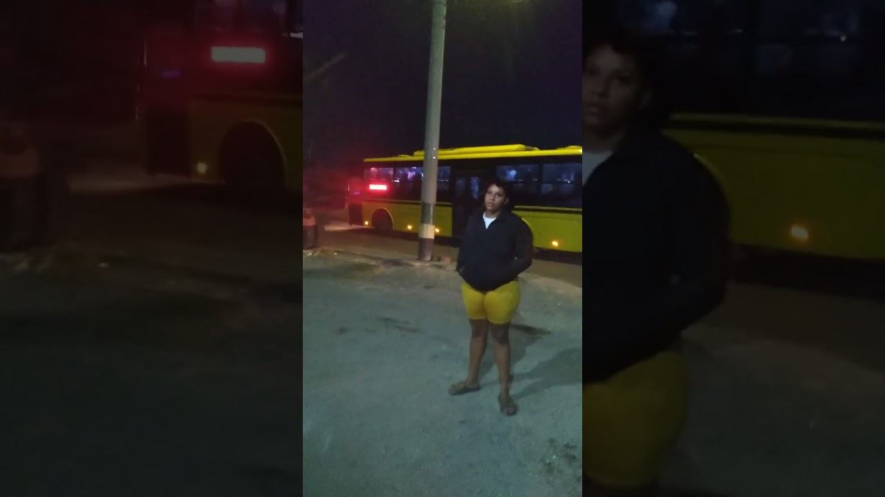 Jutc 2024 golden dragon triumph (24M)