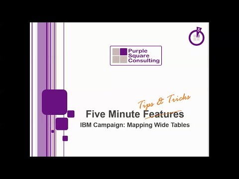 Tabella Tips and Tricks Mapping - IBM Unica Campaign Tutorial