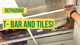 Famous CEILING T-BAR Repair & TILE REPLACEMENT Profile