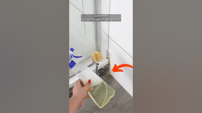 Dusche Schimmel entfernen: Effektive Methoden & Prävention () Dusche Schimmel entfernen: Effektive Methoden & Prävention