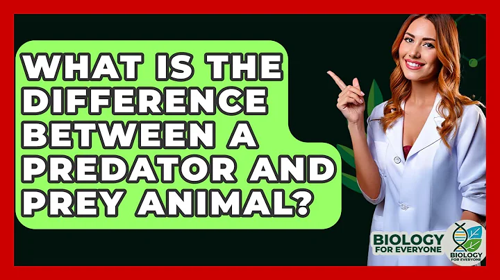 What Is The Difference Between A Predator And Prey Animal? - Biology For Everyone