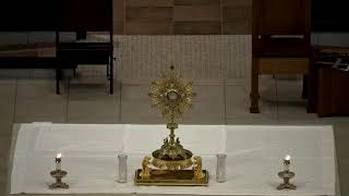 Monday of the Twentieth Week in Ordinary Time | August 17, 2020
