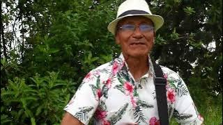 Forasterita # ll. Scala Tropical de Huachuma Chocan - Ayabaca.