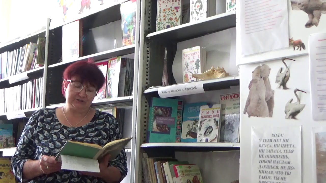 Чернавская сельская библиотека .Отрывок из рассказа "Чинк" Э.Сетон ...